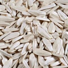 Meşhur Yerli Doğal inegöl Alası Çerezlik Ayçekirdeği Çekirdek Tohumu 40 Adet Tohum