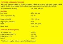 Patlak Mısır Popcorn Cin Mısır Tohumu 50 Adet Tohum