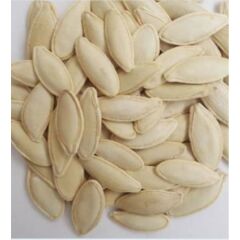 Yerli Doğal Çerezlik Kabak Çekirdeği Ürgüp Hanım Tırnağı 20 Adet Tohum