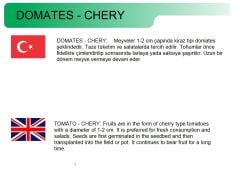 Yerli Doğal Çeri Kokteyl Domates 100 Adet Tohum