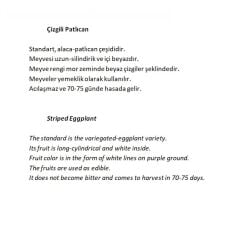 Yerli Doğal Çizgili Patlıcan Tohumu 100 Adet Tohum