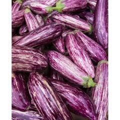 Yerli Doğal Çizgili Patlıcan Tohumu 100 Adet Tohum