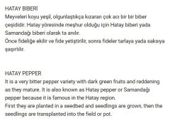 Yerli Doğal Çok Acı Hatay Biberi 100 Adet Tohum