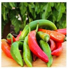 Yerli Doğal Çok Acı Hatay Biberi 100 Adet Tohum