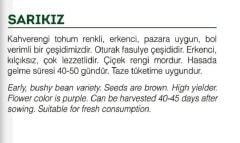 Yerli Doğal 40 Gün Doğal Fasulye 50 Adet Tohum