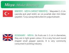 Yerli Doğal Acı Misket Biber 100 Adet Tohum