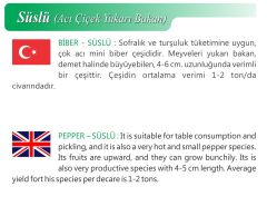Yerli Doğal Acı Süslü Biber 100 Adet Tohum