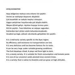 Yerli Doğal Ankara Ayaş Domatesi 50 Adet Tohum