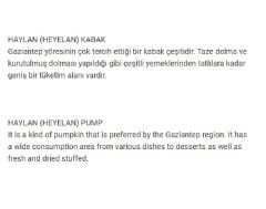 Yerli Doğal Antep Kabak Haylan Heyelan 20 Adet Tohum