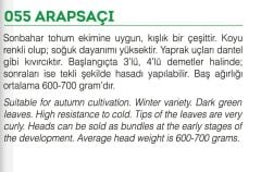 Yerli Doğal Arapsaçı Kışlık Marul Tohumu 1000 Adet Tohum