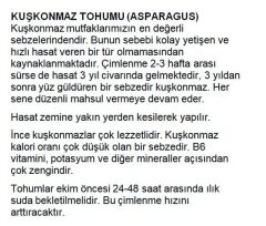 Yerli Doğal Asparagus Kuşkonmaz 40 Adet Tohum