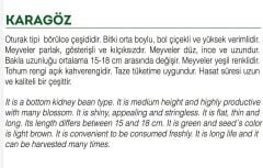 Yerli Doğal Börülce 50 Adet Tohum