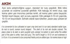 Yerli Doğal Beyaz Şalgam Turp Tohumu 500 Adet Tohum