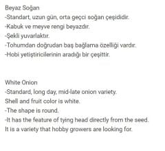 Yerli Doğal Beyaz Soğan Tohumu 500 Adet Tohum
