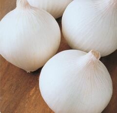 Yerli Doğal Beyaz Soğan Tohumu 500 Adet Tohum