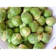 Yerli Doğal Brüksel Lahanası 180 Adet Tohum