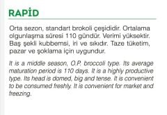 Yerli Doğal Brokoli 100 Adet Tohum