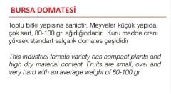 Yerli Doğal Bursa Domatesi 100 Adet Tohum