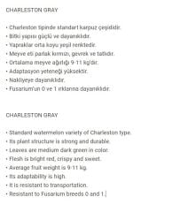 Yerli Doğal Charleston Gray Karpuz Tohumu 20 Adet Tohum