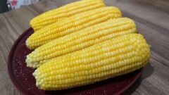 Yerli Doğal Danelik Mısır 50 Adet Tohum