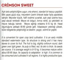 Yerli Doğal Diyarbakır Karpuzu Tohumu 100 Adet Tohum