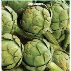 Yerli Doğal Enginar Tohumu 20 Adet Tohum