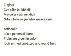 Yerli Doğal Enginar Tohumu 20 Adet Tohum