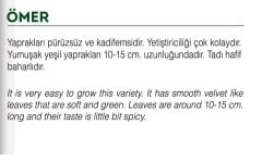 Yerli Doğal Enli Tere Tohumu 1000 Adet Tohum