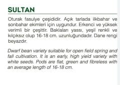 Yerli Doğal Fasulye Sultan 50 Adet Tohum