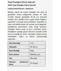 Yerli Doğal Geniş Yaprak Yeşil Reyhan Fesleğen Tohumu 1000 Adet Tohum