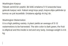 Yerli Doğal Halep Karası Washington Karpuzu 50 Adet Tohum