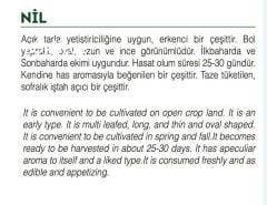 Yerli Doğal İnce Kıl Tere Tohumu 1000 Adet Tohum