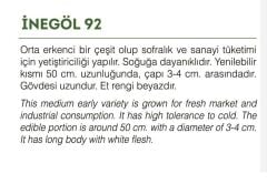 Yerli Doğal İnegöl Pırasa Tohumu 1000 Adet Tohum