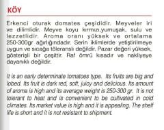 Yerli Doğal Köy Domatesi 100 Adet Tohum