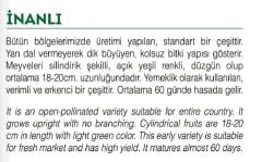 Yerli Doğal Kabak Tohumu 20 Adet Tohum