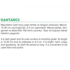 Yerli Doğal Kara Acur 100 Adet Tohum