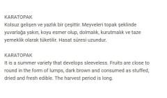 Yerli Doğal Karatopak Kabak Tohumu 20 Adet Tohum