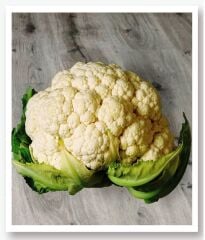 Yerli Doğal Karnabahar Tohumu 100 Adet Tohum