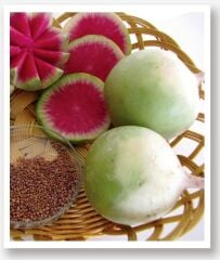 Yerli Doğal Kırmızı Beyaz Çin Turp Tohumu 500 Adet Tohum