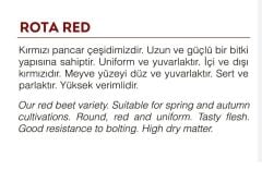 Yerli Doğal Kırmızı Pancar Tohumu 100 Adet Tohum