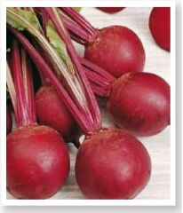 Yerli Doğal Kırmızı Pancar Tohumu 100 Adet Tohum