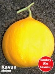 Yerli Doğal Kışlık Sarıbey Kavun 100 Adet Tohum