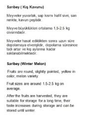 Yerli Doğal Kışlık Sarıbey Kavun 100 Adet Tohum