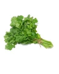 Yerli Doğal Kişniş Otu Yöresel Aşotu Tohumu 500 Adet Tohum