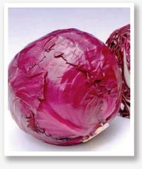 Yerli Doğal Mor Lahana Tohumu 100 Adet Tohum