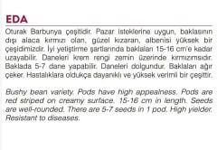 Yerli Doğal Oturak Barbunya 30 Adet Tohum