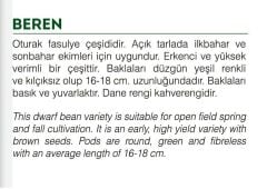 Yerli Doğal Oturak Yeşil Fasulye 50 Adet Tohum