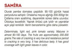 Yerli Doğal Pembe Köy Domatesi 100 Adet Tohum