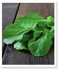 Yerli Doğal Roka Tohumu 1000 Adet Tohum