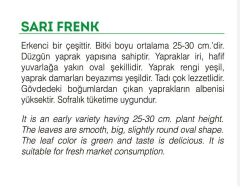 Yerli Doğal Semizotu Portulak Tohumu 1000 Adet Tohum